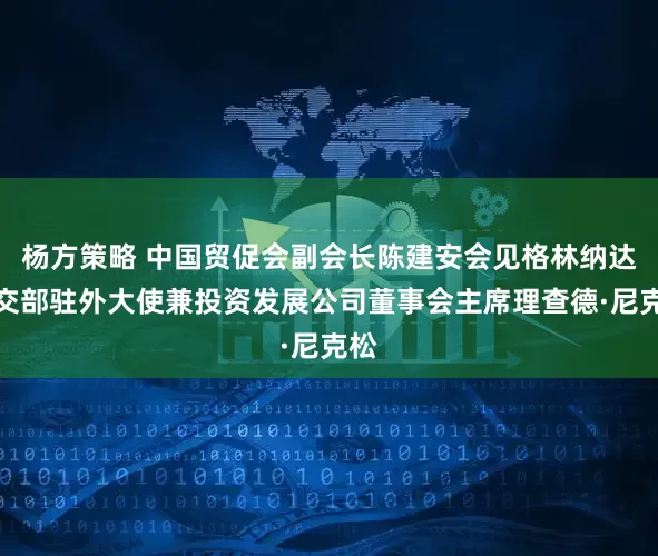 杨方策略 中国贸促会副会长陈建安会见格林纳达外交部驻外大使兼投资发展公司董事会主席理查德·尼克松